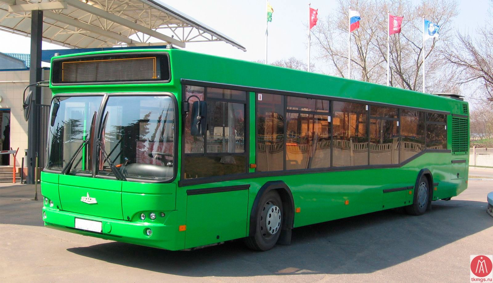 МАЗ 103565 - Вид сбоку автобуса